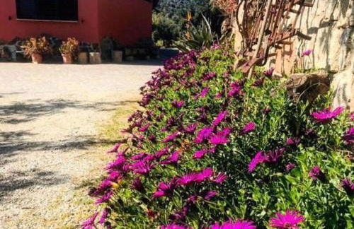 Agriturismo Su Barraccu - Foto 25