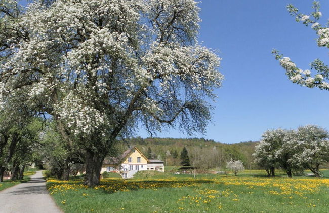 Gaienhofen Comfortable Holiday Residence - Foto 19