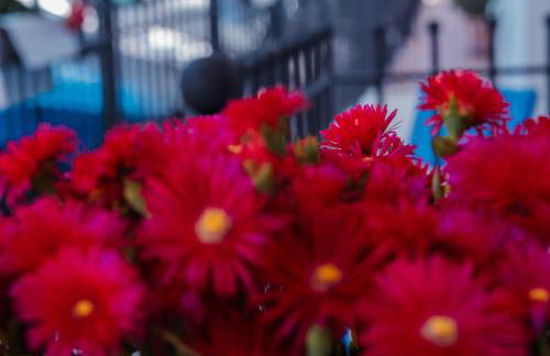 Maison Matilda 1 - Foto 23