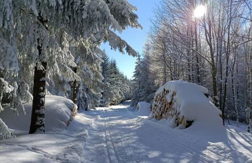 Fewo Lindenlaub - Foto 17