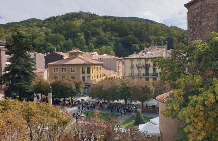 Casa Clotilde - Apartamento elegante y cómodo en Sant Joan de les Abadesses - Foto 15