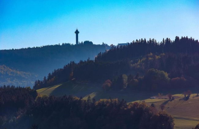 Lovely Apartment with Balcony in Willingen near Ski Lift - Photo 30
