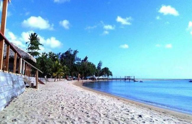 Vanuatu Beachfront Apartments - Photo 50