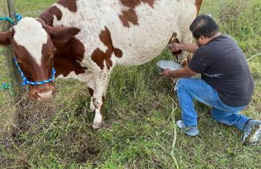 Ananda Farmhouse and Retreat. - Foto 37