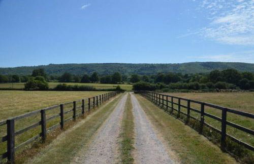 The Annex, Westerlands, Graffham - Foto 12