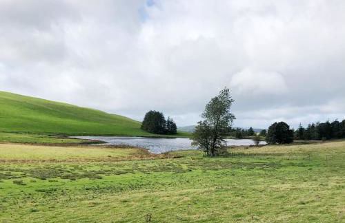 Llynhillyn Cottage - Foto 24