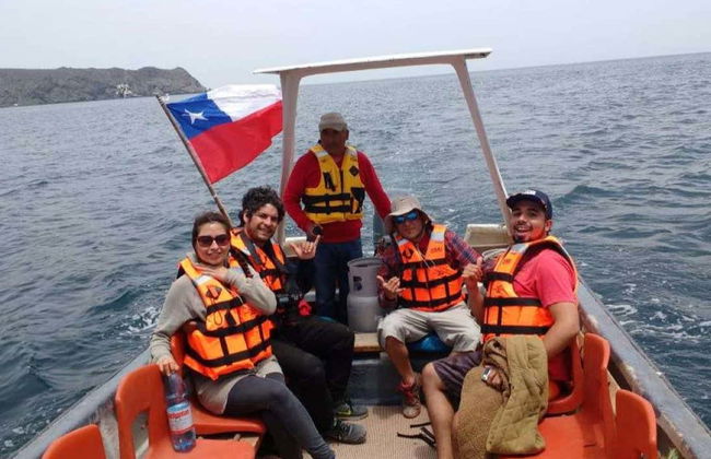 Avistamiento de ballenas en Chañaral de Aceituno - Foto 2