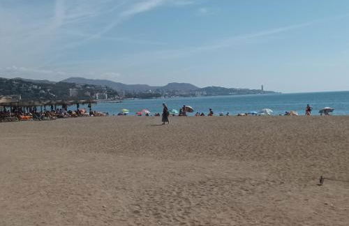 NEW MARITIMO - Photo 5