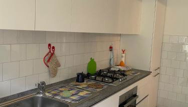 Appartamento Ragozza in Pieve Vergonte - Foto 4, stove, dishwasher