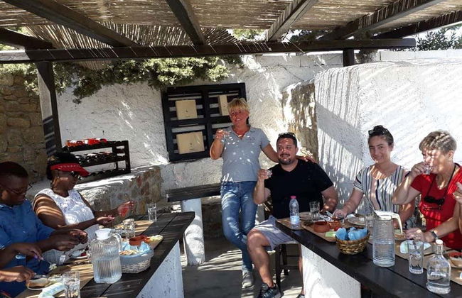 Tour por Mykonos, Ano Mera y granja de Mykonian - Foto 3