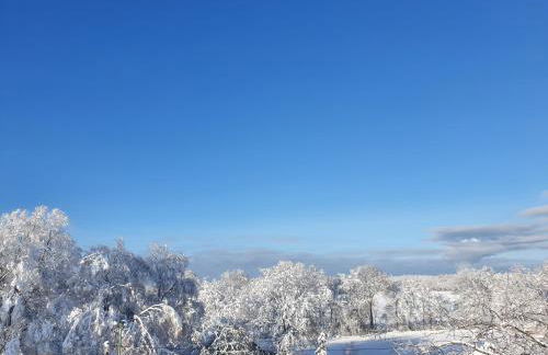Energetischer Urlaub in der Eifel - Foto 4