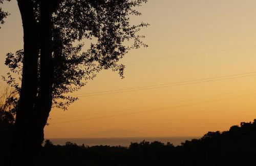 Maison au calme piscine mer au coeur de la nature U Nuciolu - Foto 40