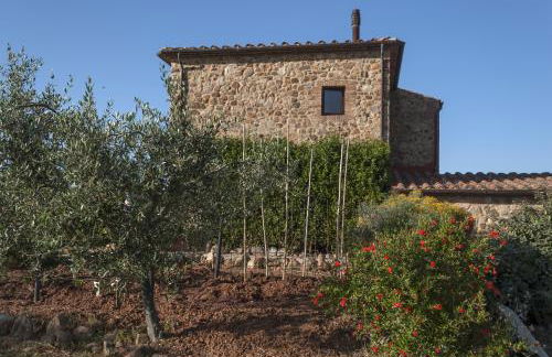 La Rocca delle Pigne - Foto 9