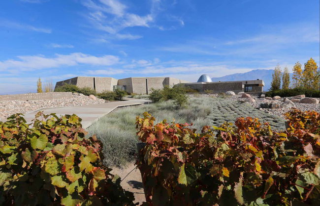 Tour nel sud della zona vitivinicola della Valle de Uco - Foto 6
