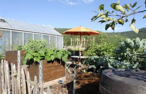 SchwarzWild - Ferienwohnung und Ferienzimmer - Foto 79