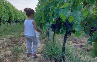 Agriturismo Corte in Poggio - Foto 70