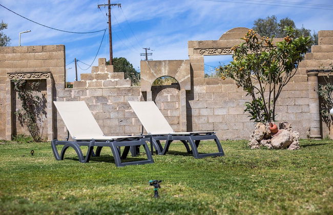 Jimmy's Garden - Foto 63