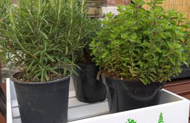 La Casetta Rossa - Foto 56