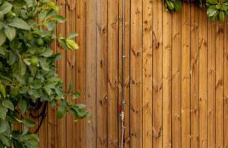 Marios house - Foto 56