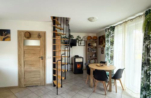 Enklawa Pana Pszczoły - Foto 8