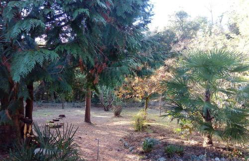 Grande maison familiale, calme, tranquille, 900 m de la plage - Foto 51