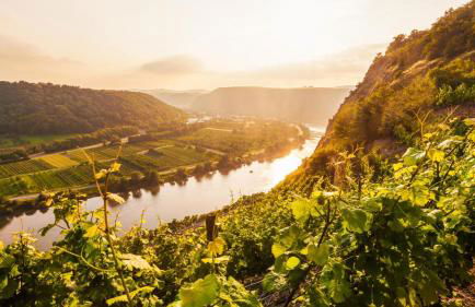 Mosel-Herz Trier Ferienhaus - Foto 22