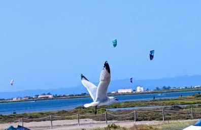 Ca Na Vinyet - Foto 29