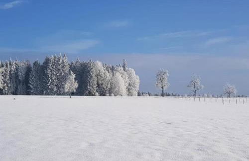 Ferienwohnung Marianne in Neuweiler - Foto 69