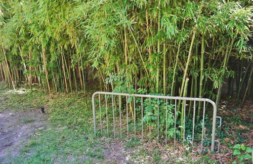 Massive 9BDR Courtyard Estate Near Forsyth Park - Foto 52