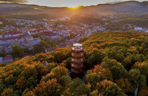 Apartament w Sercu Gór z ogrodem - Foto 25