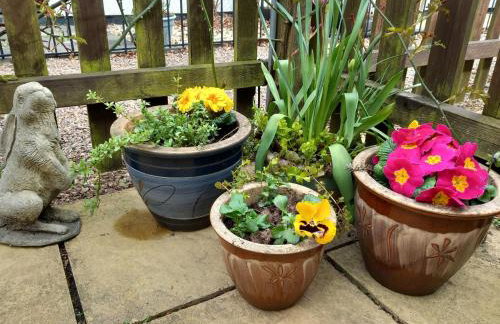 Sheepfold Cottage Dulverton - Foto 25