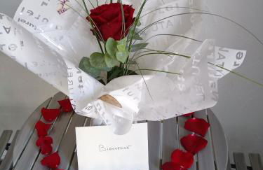 Studio Les coquelicots - Foto 26