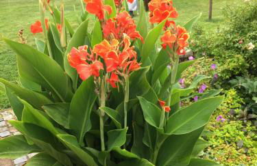 FeWo „Zum Napoleonstein“ - Foto 75