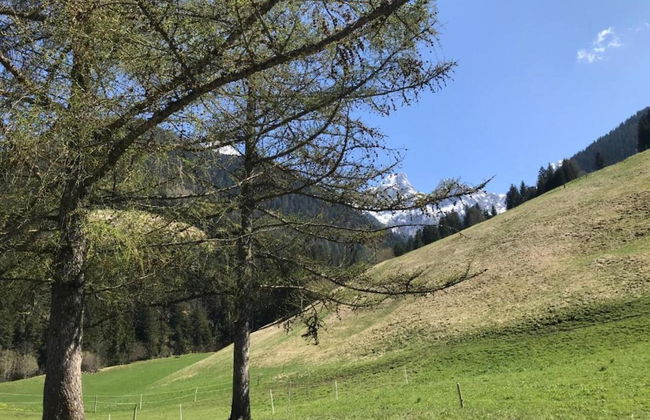 Modern Apartment in Sellinghausen With Terrace - Foto 23