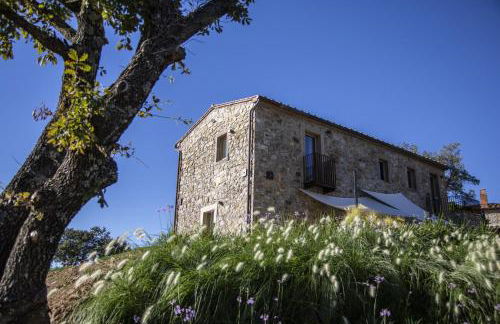 Azienda Meleta - Foto 15