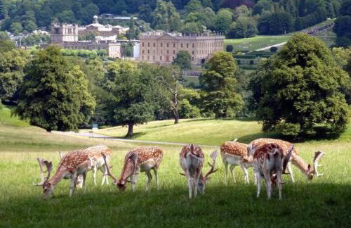 Characterful 2 bed cottage in excellent location - Photo 42