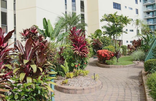 Cairns Aquarius - Foto 51