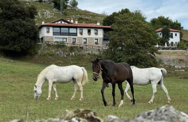 Apartamentos Picabel - Foto 50