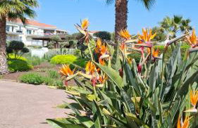 Bel appartement en bord de mer avec piscine lagon et jardin, en résidence sécurisée - Foto 50