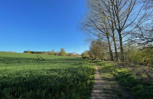 Buttercup Cottage, Hartest - Foto 24