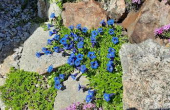 Haus Am Waldesrand - Foto 27