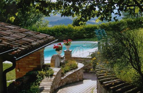 La collina dei ciliegi - Foto 8