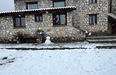 Forest House - Foto 1