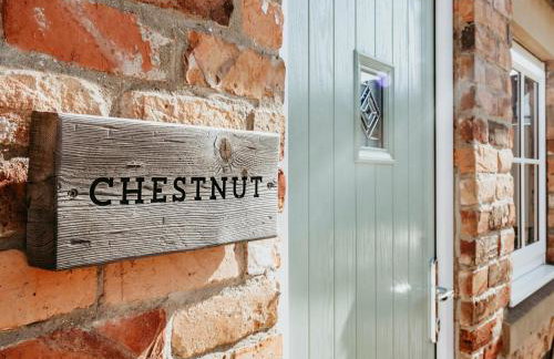 Chestnut - Ids - Foto 13