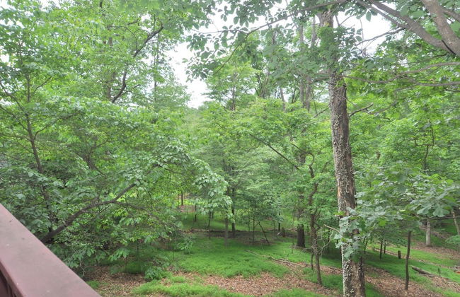 Treetop Cabin - Foto 20