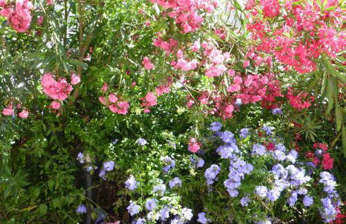 Casa Vacanza Appartamenti Al Mare - Foto 56