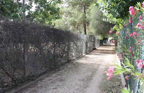 Casa Vacanze Paola 2 - Photo 24