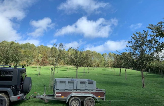 House in Sint Jansrade With Pool - Foto 23