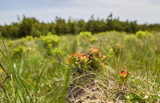 Horní Mísečky - Foto 54