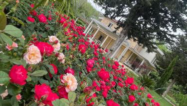 Villa Berenice House and Relax - Foto 4